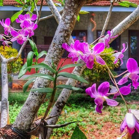 Vedic Heritage Boutique Hotel Kovalam Esterno foto
