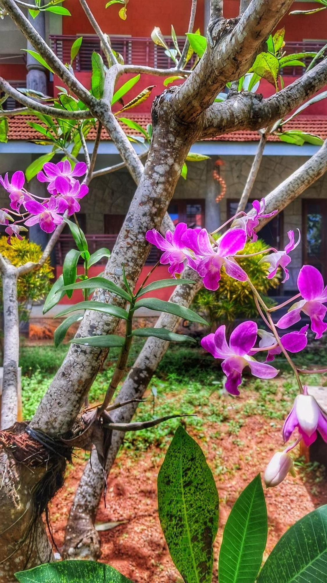 Vedic Heritage Boutique Hotel Kovalam Esterno foto