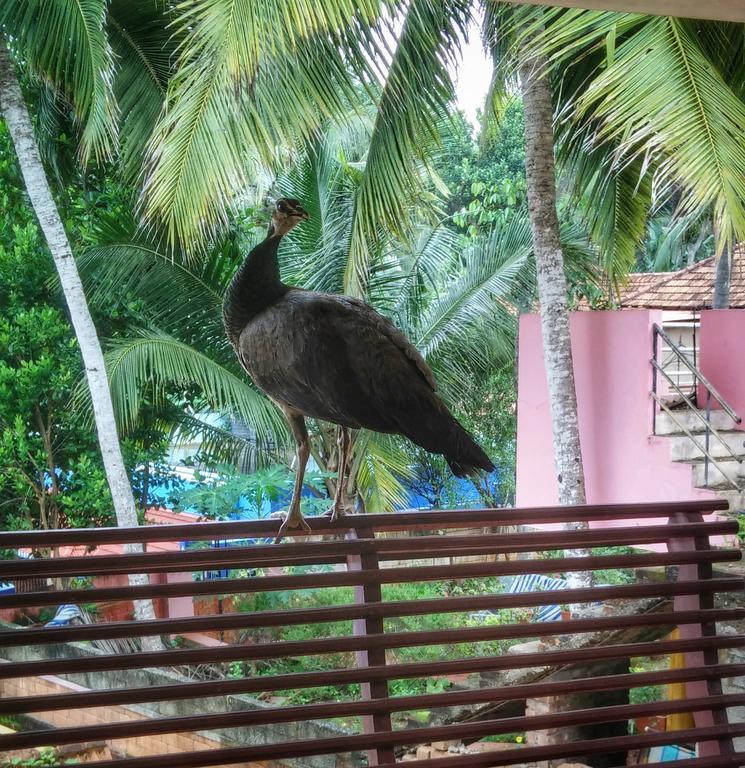 Vedic Heritage Boutique Hotel Kovalam Esterno foto