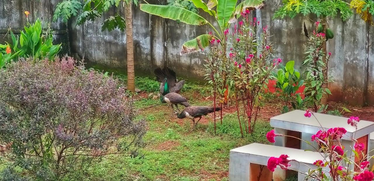 Vedic Heritage Boutique Hotel Kovalam Esterno foto